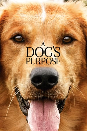 A Dog's Purpose (2017)