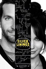 Silver Linings Playbook (2012)