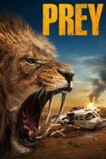 Download Streaming Film Prey (2024) Subtitle Indonesia HD Bluray